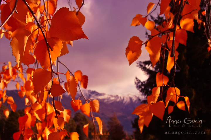 A southern hemisphere autumn in Wanaka, New Zealand