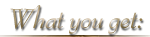 What you get
