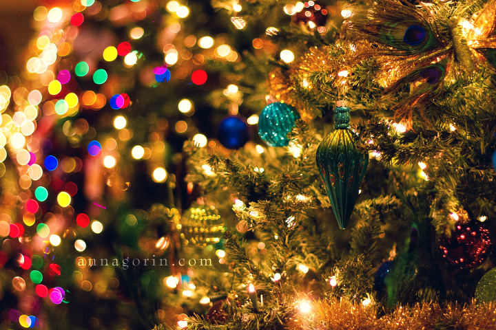 Christmas 2012 :: Miscellaneous :: Anna Gorin Photography, Boise, Idaho