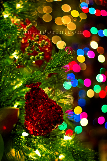 Merry Christmas! :: Events :: Anna Gorin Photography, Boise, Idaho