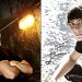 Boise senior pictures starting at $149 | Senior pictures, senior portraits, senior photos, Boise senior portraits, Boise senior pictures, Boise senior photos, senior photography, senior photographer, high school seniors, outdoor portraits, senior photoshoots, photoshoots