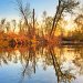 Reflections in Boise River, Eagle, Idaho