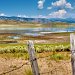 Camas Prairie, Idaho