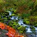 Eagle Creek, Columbia River Gorge, Oregon