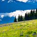 Hurricane Ridge, Olympic National Park, Washington