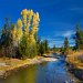 Autumn at Lake Fork, Idaho