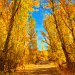 Autumn at Cottonwood Creek, Military Reserve Park, Boise, Idaho