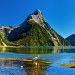 White heron in front of Mitre Peak, Milford Sound, New Zealand