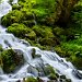 Unnamed cascade along Wahkeena Trail, Columbia River Gorge, Oregon