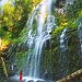 Lower Proxy Falls, McKenzie Highway, Oregon