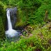 Upper Oneonta Falls, Columbia River Gorge, Oregon