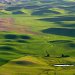 Palouse hills, Steptoe Butte State Park, Washington