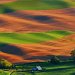 Palouse hills, Steptoe Butte State Park, Washington