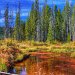 Outlet of Stanley Lake, Idaho