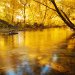 Autumn at Veterans Memorial Park, Boise, Idaho