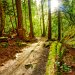 Manley Park, Victoria, Vancouver Island, Canada