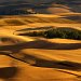 Palouse hills, Steptoe Butte State Park, Washington