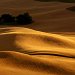 Palouse hills, Steptoe Butte State Park, Washington