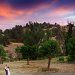 Boise wedding photography | Wedding photography, wedding photos, ceremony photos, reception photos, wedding photographer, engagement photography, engagements, romantic photography, romantic photos, couples photography, portrait photos, portrait photography