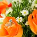 Boise wedding photography | Wedding photography, wedding photos, ceremony photos, reception photos, wedding photographer, engagement photography, engagements, romantic photography, romantic photos, couples photography, portrait photos, portrait photography