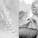Boise wedding photography | Wedding photography, wedding photos, ceremony photos, reception photos, wedding photographer, engagement photography, engagements, romantic photography, romantic photos, couples photography, portrait photos, portrait photography