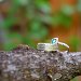 Boise wedding photography | Wedding photography, wedding photos, ceremony photos, reception photos, wedding photographer, engagement photography, engagements, romantic photography, romantic photos, couples photography, portrait photos, portrait photography